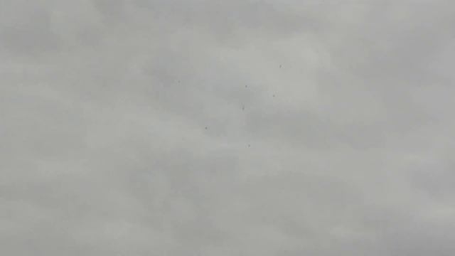 // БОЙНЫЕ ГОЛУБИ // КРАВЧЕНКО. А. Н. 3.12.19. Г. САЛЬСК смотреть онлайн