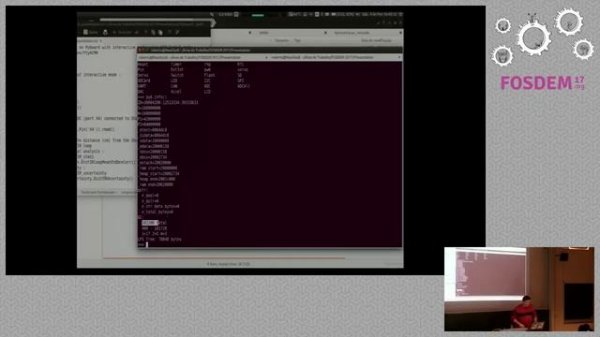 MicroPython for Microcontrollers and IoT programming with Python