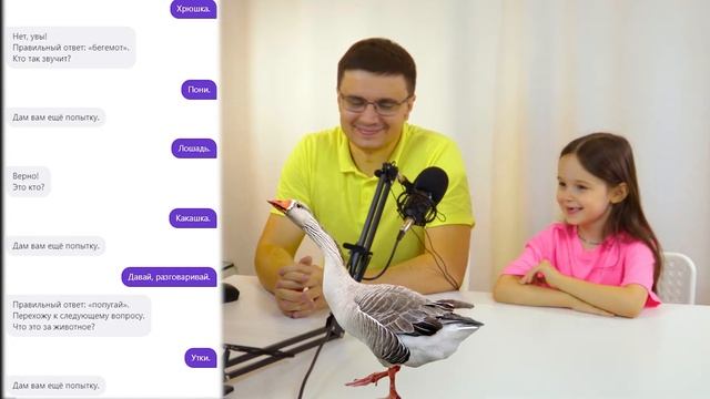 Детские игры с яндекс Алисой!⭐Игра угадай животное для детей ⭐ Канал МариДеПари Ю ? смотреть онлайн
