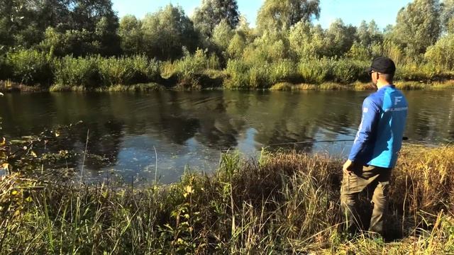 Рыбалка с Поплавочной Снастью на Канале. Ловим Плотву и Голавля! смотреть онлайн