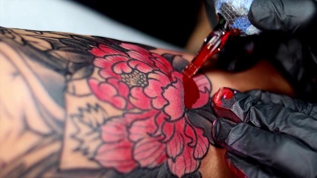 Pin Up Traditional Tattoo смотреть онлайн