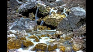 ЗОЛОТАЯ ЖИЛА!!!