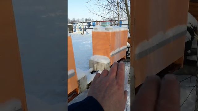 18 12 2018 Результаты осмотра семей смотреть онлайн