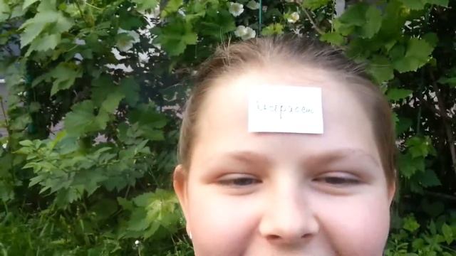 Игра Шарады/Что за екстрасенс?