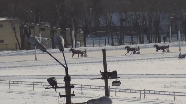 Московский ипподром. Бега. 19.01.14. Заезд 5(27) смотреть онлайн