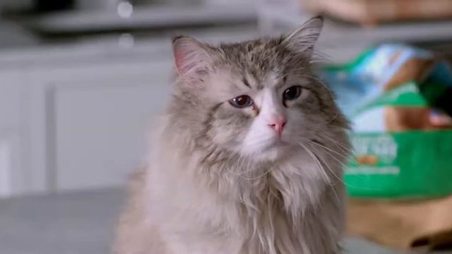Кино 9 жизней смотреть онлайн