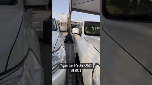 Авто из ОАЭ (Дубай) | Toyota Land Cruiser 2019 смотреть онлайн