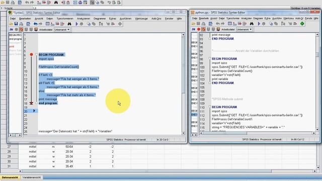 SPSS Video-Seminar # Teil 67 Python 3 смотреть онлайн