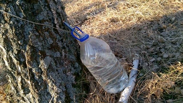 Мотоциклы и Экстрим