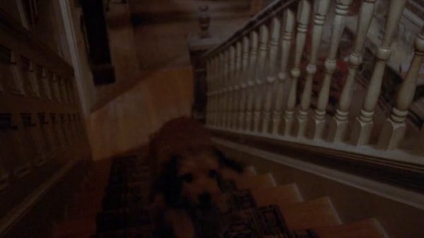 Benji - The Original Canine Classic - Trailer