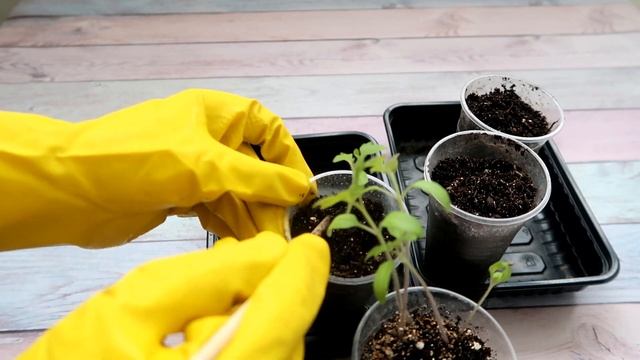 Строительный Поиск