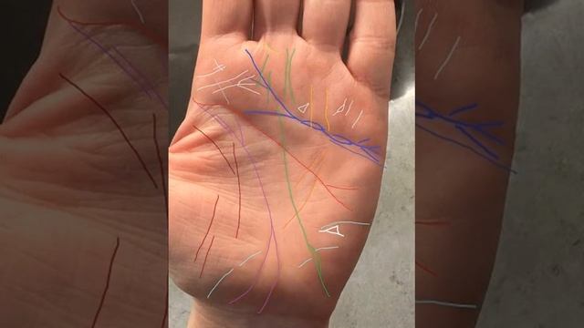 АНАЛИЗ ЛИНИЙ КЛИЕНТА смотреть онлайн