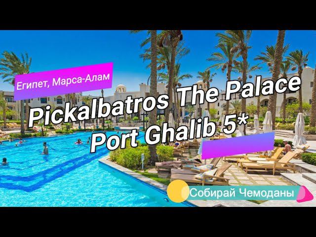 Отзыв об отеле Pickalbatros The Palace Port Ghalib 5* (Египет, Марса-Алам)