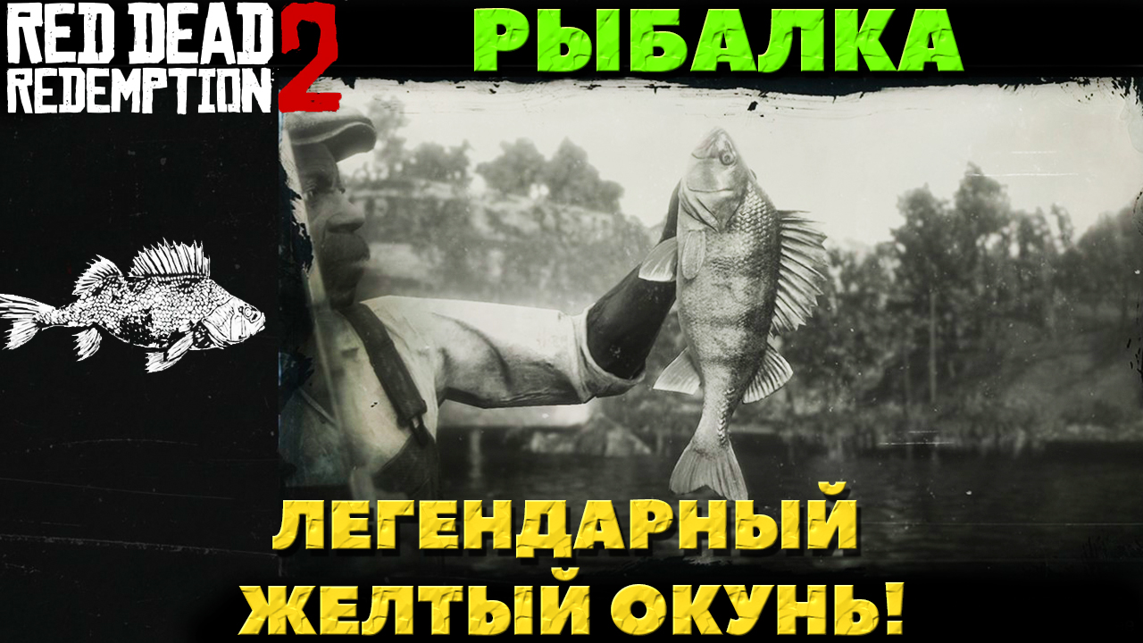 Red Dead Redemption 2 - ✔️Рыбалка. Легендарный Желтый Окунь.