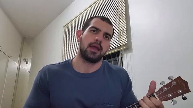 Territorial Pissings - Ukelele (Nirvana Cover) смотреть онлайн