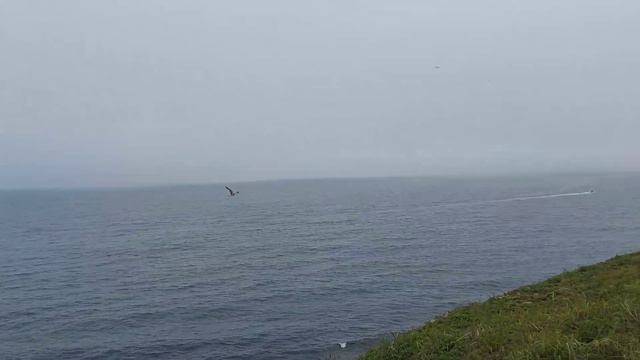 Бухта Ахлёстышева остров Русский Владивосток смотреть онлайн