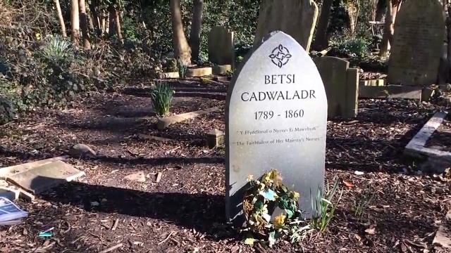 5.Жизнь в Англии. Старое английское кладбище. смотреть онлайн