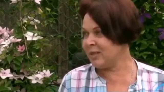 Видео Альтерм смотреть онлайн