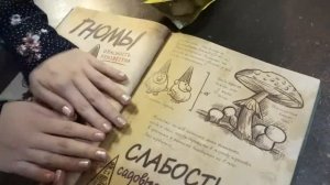 Билл Шифр в реальной жизни! ГФ1 Nepeta Страшилки