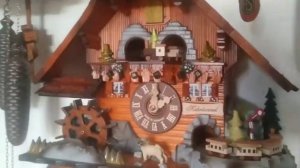 All the sounds my large collection mechanical cuckoo clocks black forest tutti i miei orologi cucù