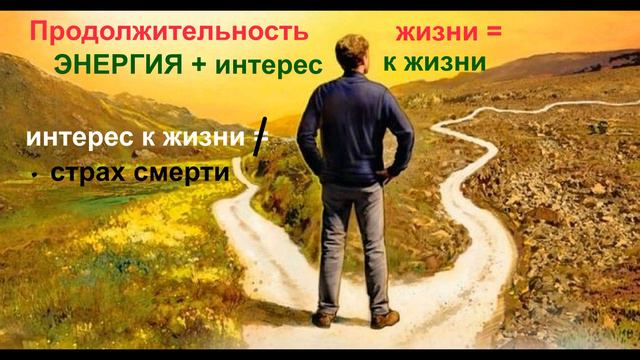 Смерть, свобода и продолжительность жизни. смотреть онлайн