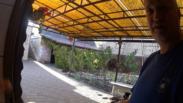 ЗОЛОТО РАССКАЗ ИЗ ЖИЗНИ . смотреть онлайн