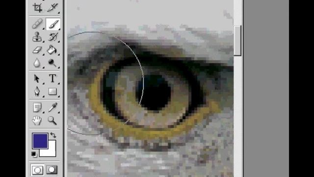 Adobe Photoshop for Beginners Tutorial - Learn How To Use Photoshop - Free Course смотреть онлайн