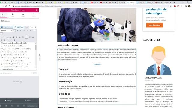 Ocultar O Mostrar Texto En Wordpress - Elementor - Shortcode