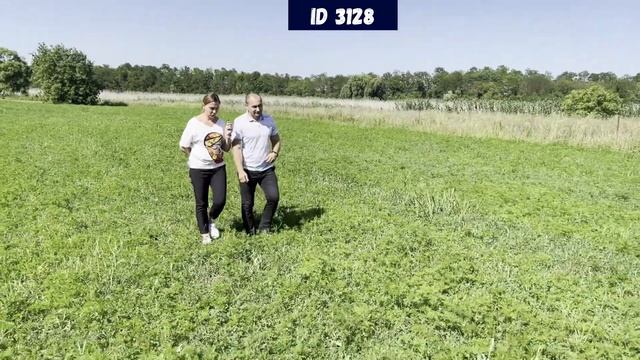 Дом с выходом к речке, на  40 сотках земли с фруктовым садом. ID 3128
