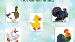 Презентация для детей 3 4 лет   Интересная математика  Сравнение и счет до 5