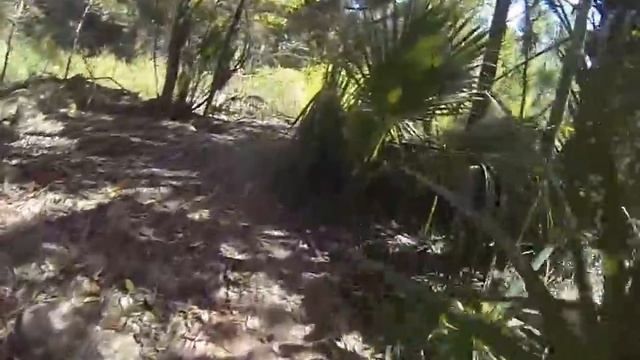 Vortex bike trail Santos, Ocala, FL October 17, 2015 смотреть онлайн