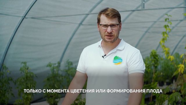 Эликсир универсальный от Органик Микс / Подробно о продукции Органик микс смотреть онлайн