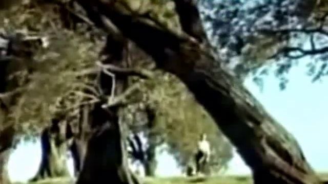 Bích Việt - Như Cỏ Trên Đồng...(Bản tiếng Nga) смотреть онлайн