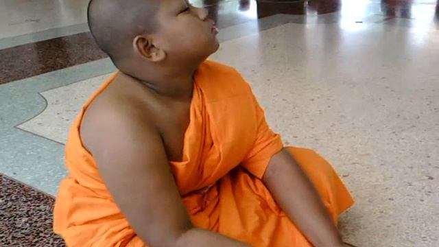 little monk sleepy1 смотреть онлайн