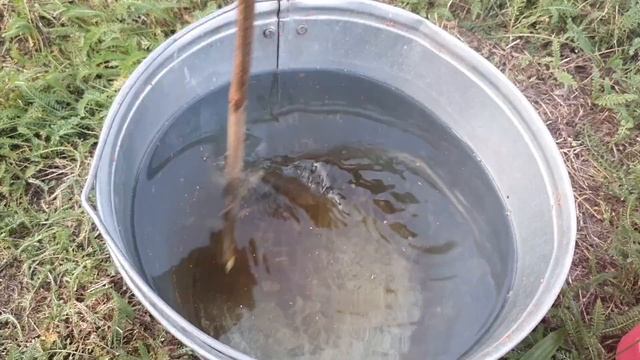 30 гр на ведро воды и земля как новая. Лучший универсальный биогумус Органопро. смотреть онлайн