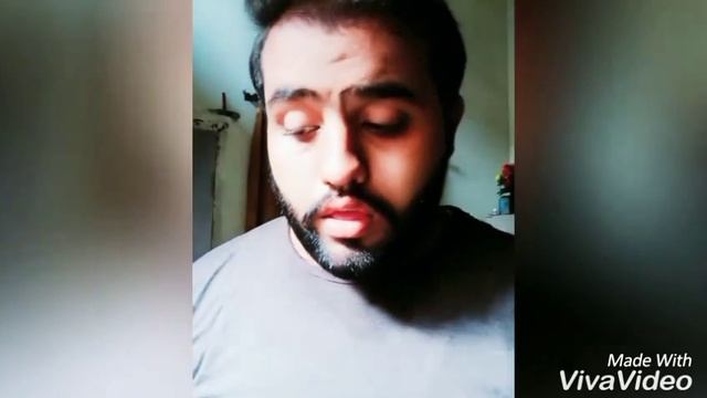 What does the cat say |funny challenge| Tiktok Videos смотреть онлайн