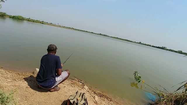 Amazing Fishing | Catching Rupchanda Fishes