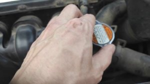 антифриз киа рио 3