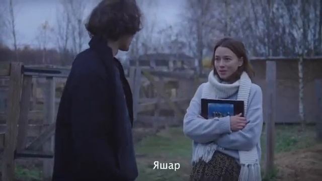 Карабахская порода лошадей. Даце смотреть онлайн