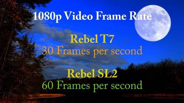 Canon EOS Rebel SL2 versus Canon EOS Rebel T7 Review смотреть онлайн