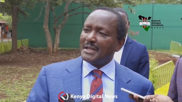 Kalonzo Musyoka reacts to Raila's State House visit during King Charles III state banquet!! смотреть онлайн