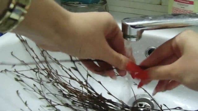 Как сделать погрызушки для попугаев из молодых веточек? ПРИВЕТЫ ОТ ЧИКИ! 💝 смотреть онлайн
