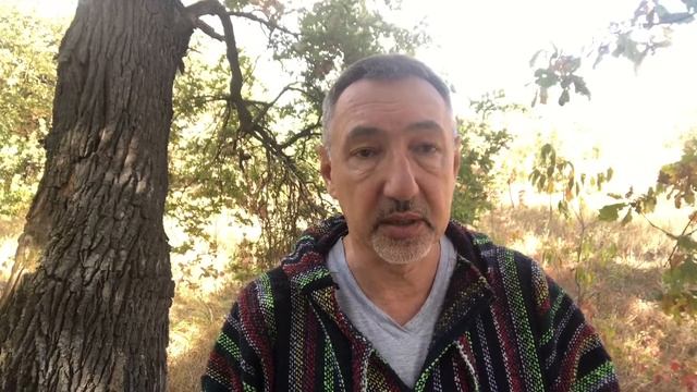 Навигатор для человека и вместо человека. смотреть онлайн