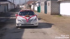 Туй  дар  точикистони  сурх