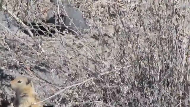 Еврашка на Колыме смотреть онлайн