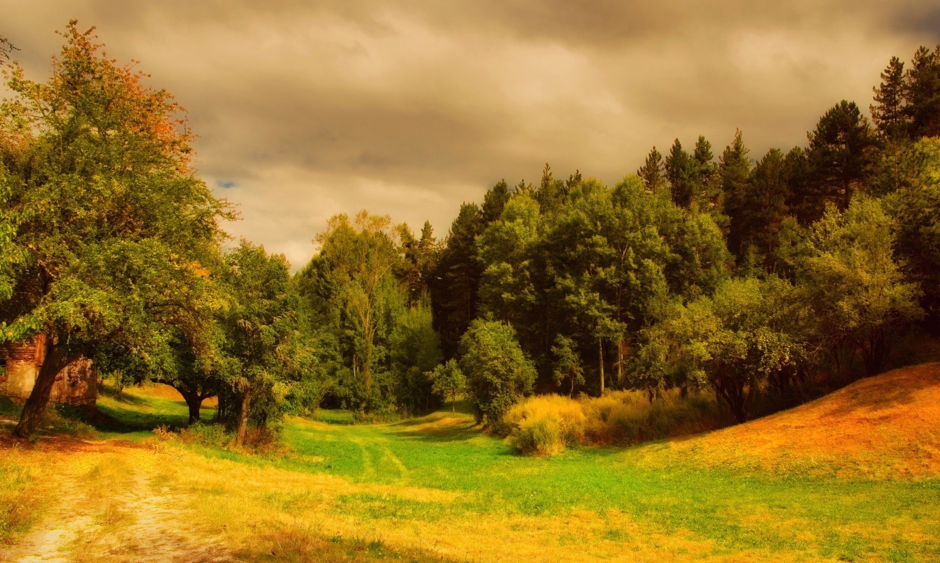 Суть девушки