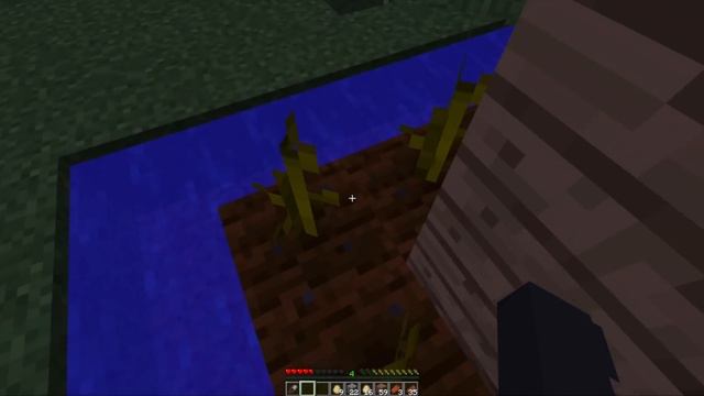 This Cursed Minecraft Video Will Trigger You...