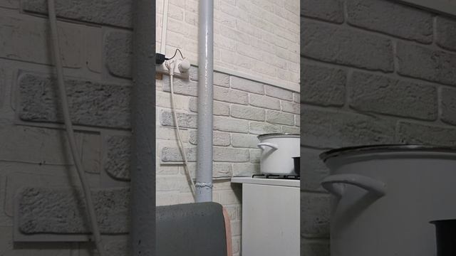 Костя–в гости