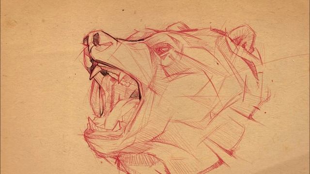 bear sketch digital timelapse psdelux смотреть онлайн