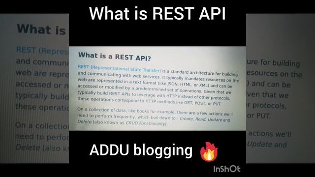 what is rest api #javascript #javaprogramming #addublogging смотреть онлайн